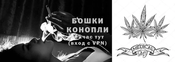 мдпв Михайлов