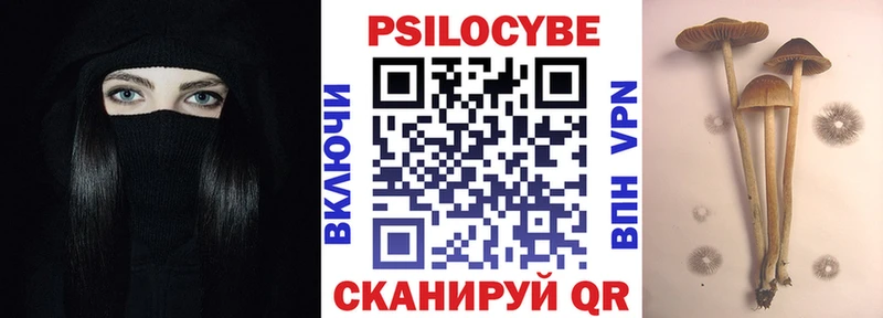 купить закладку  Агрыз  Псилоцибиновые грибы GOLDEN TEACHER 